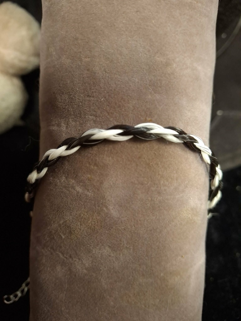 Tresse de Manège